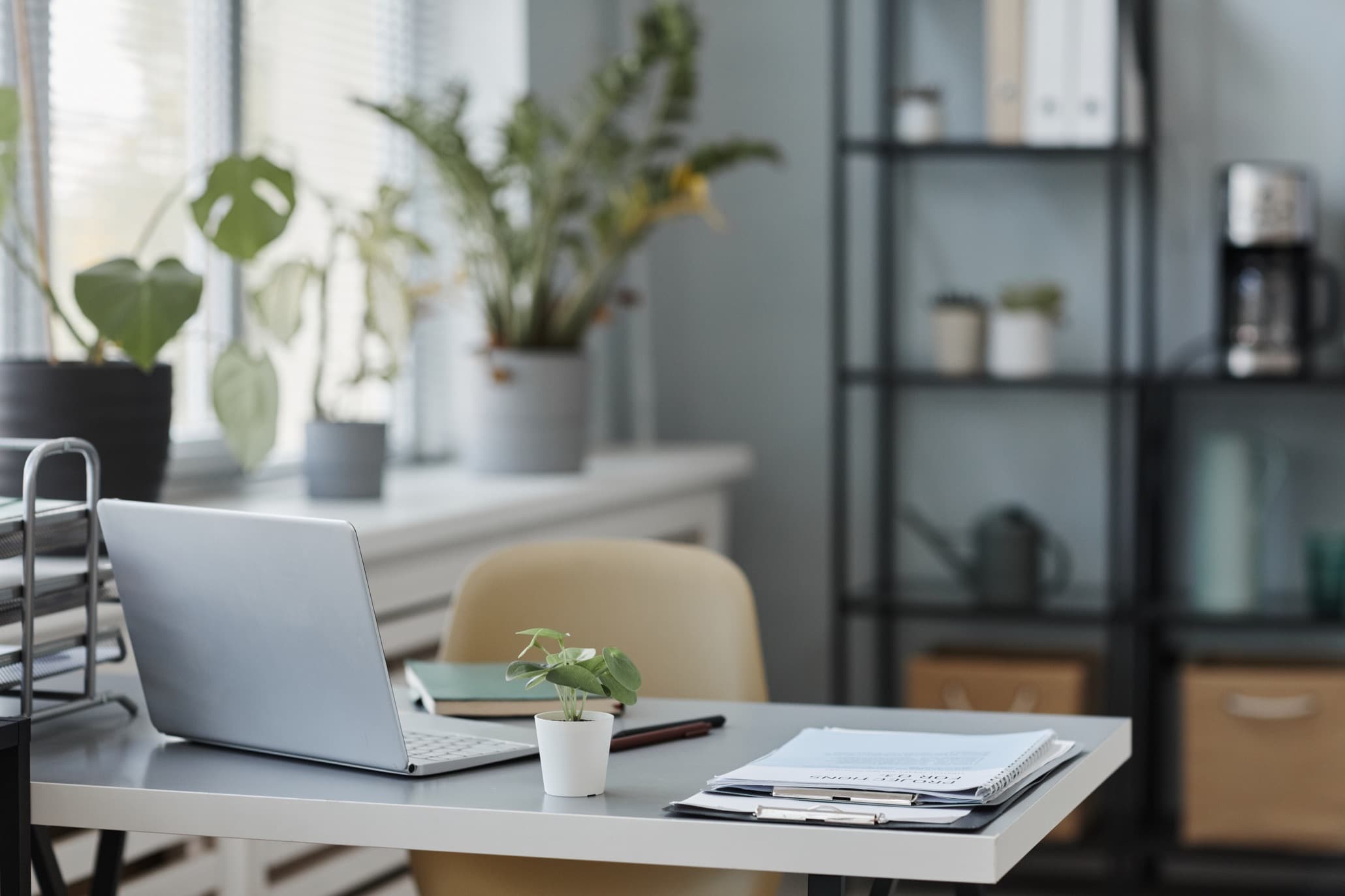 Bright room with a desk, laptop and plants